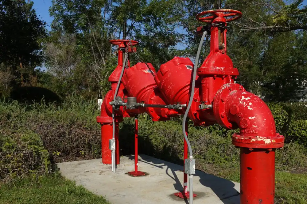 What is a fire sprinkler backflow preventer